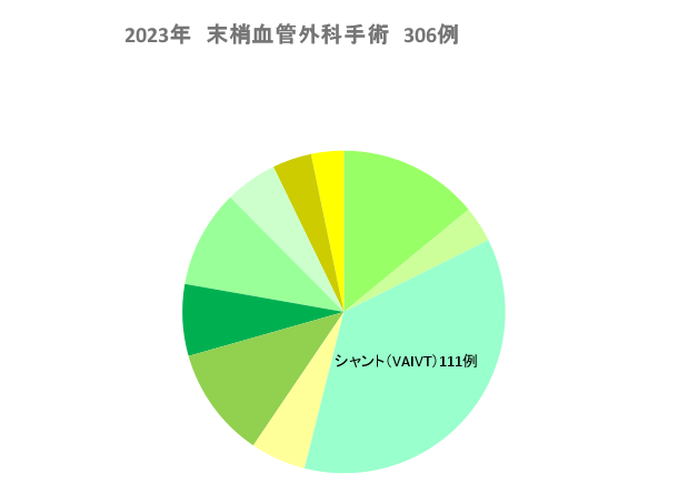 2023年 末梢血管外科手術 306例